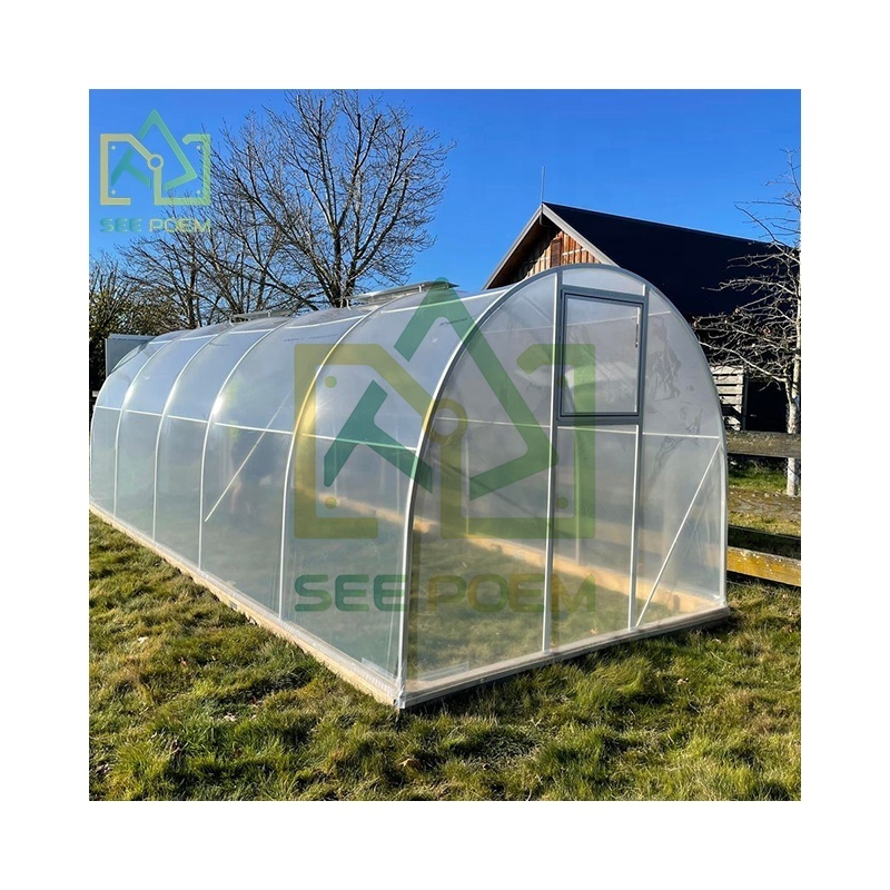 Greenhouse for Outdoors, Upgraded Swing Door, Heavy Duty Galvanized Steel Frame Tunnel Greenhouse kit, Reinforced PE Cover