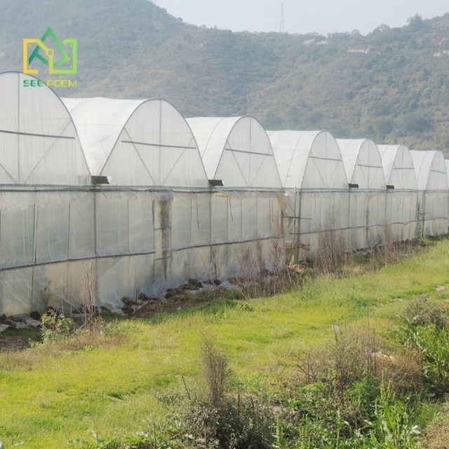 Polycarbonate Walk in Greenhouse, Enhance Green House w/ Sliding Door and Adjustable Roof, Upgraded Stability & Drainage System