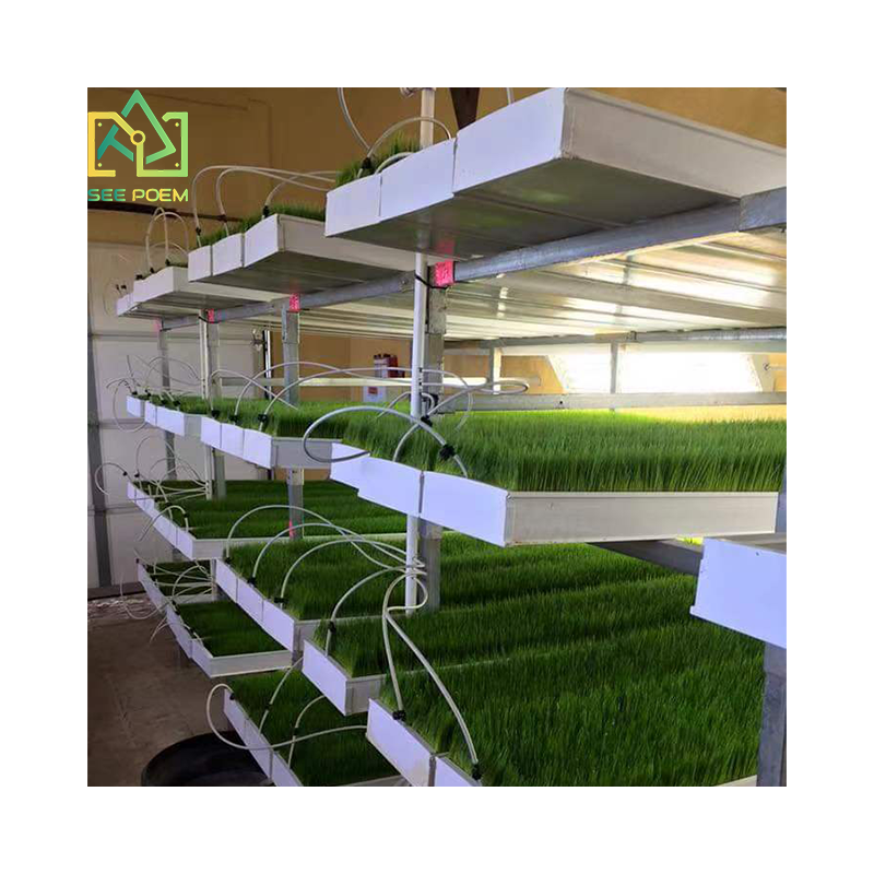 On Sale Commercial NFT hydroponic vertical fodder system