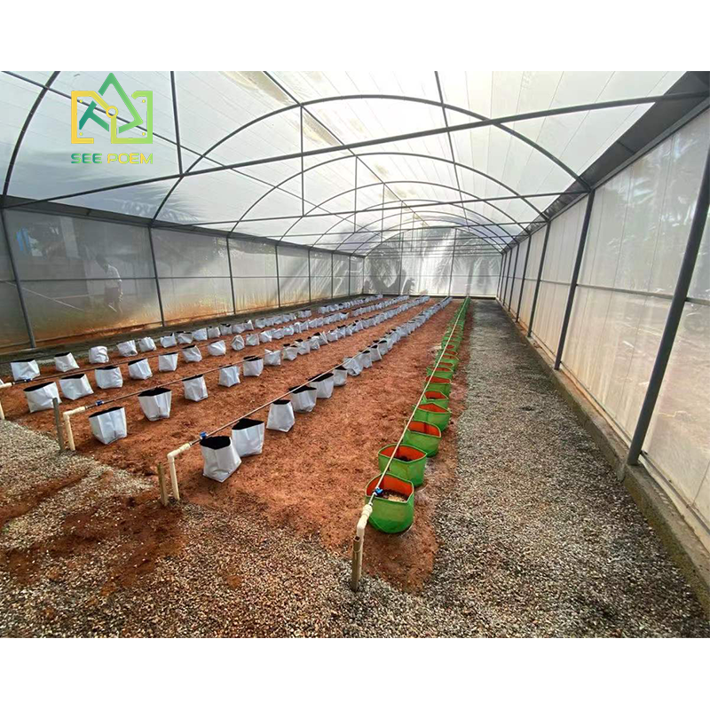 Agriculture Dutch Bucket green houses with irrigation systems