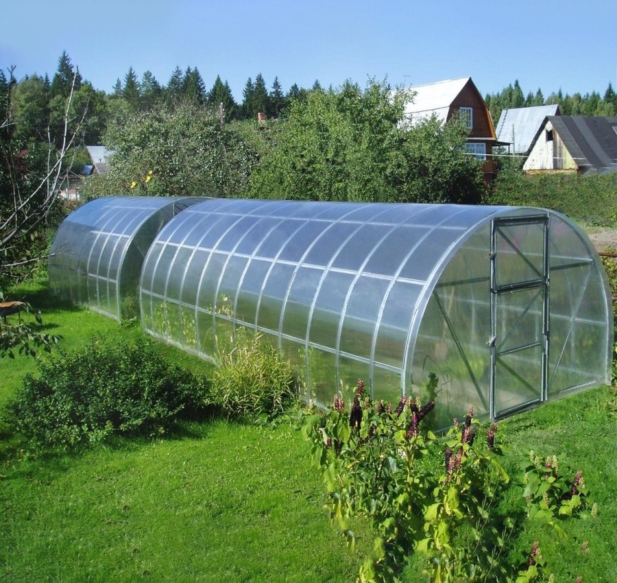 Polycarbonate Greenhouses, Green Houses for Outside with A Vent Window, Walk-in Aluminum Frame Greenhouse with Sliding Door