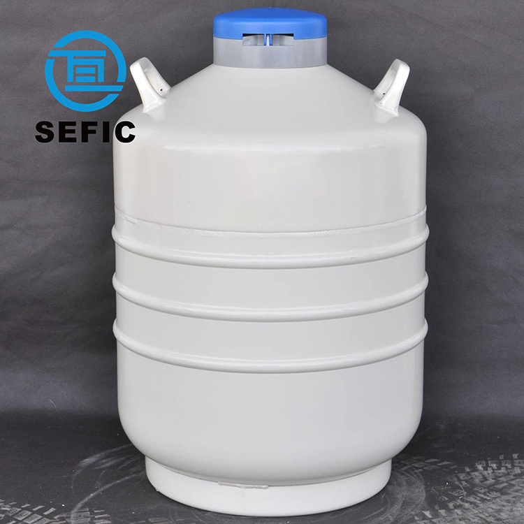 20 Liter  Liquid Nitrogen Tanks (YDS Type) Cryogenic Storage Container Stainless Steel Cryogenic Liquid Storage Tank