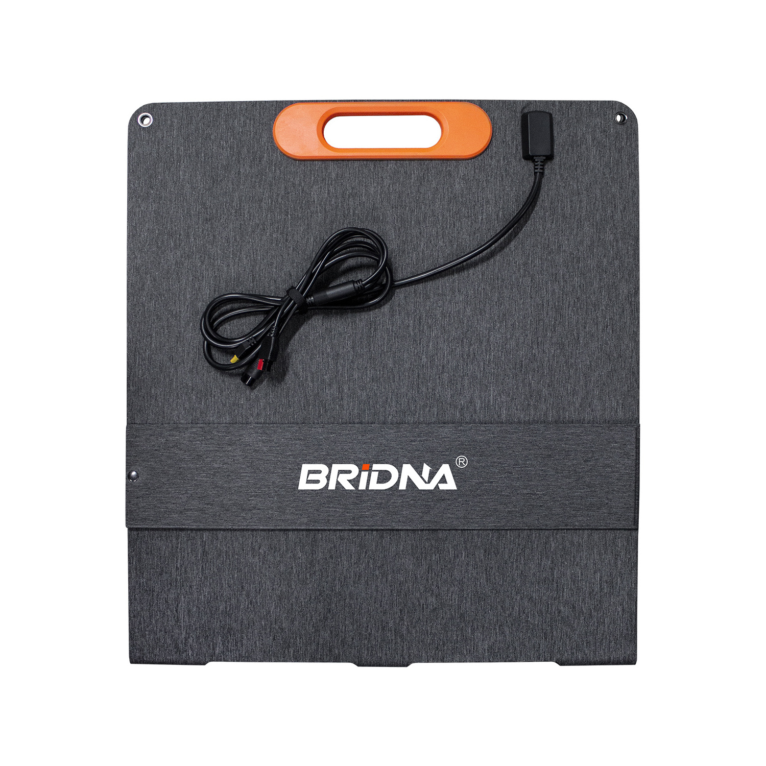 Bridna 200W Solar Energy System Set Kit Power Strips Manufacturer 100W 200W Etfe Flexible Solar