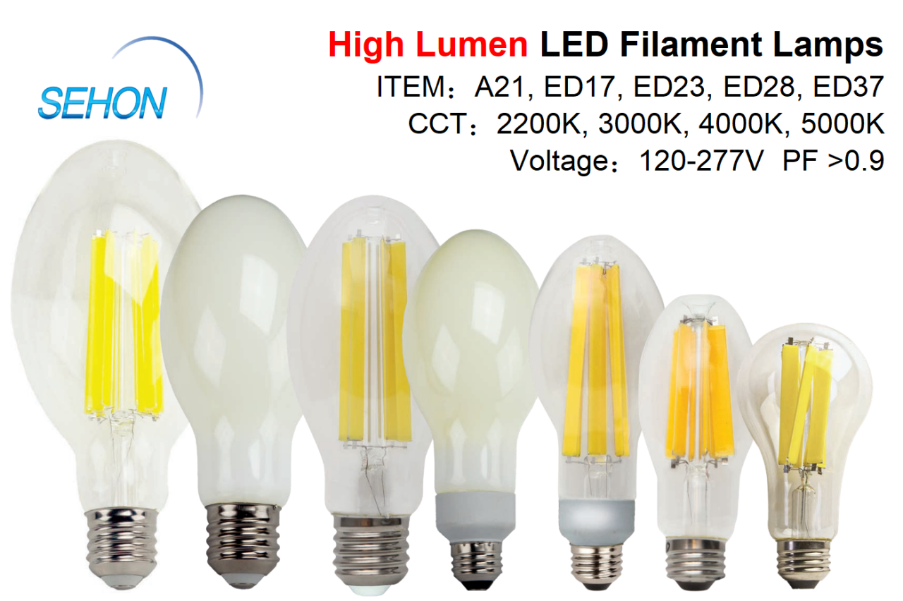 High-lumen LED filament light bulbs 380V 20w 30w 40w 50w clear bulb T46 ED75 ED90 2000K-6500K Street Lighting Bulb