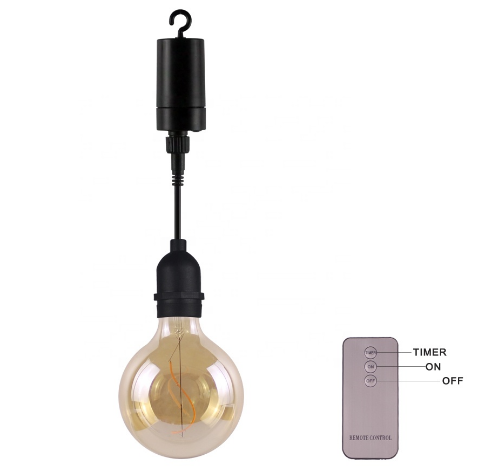 G125 LED lamps Filament Remote Control Battery Run Indoor Outdoor Glass LED Pendant Light