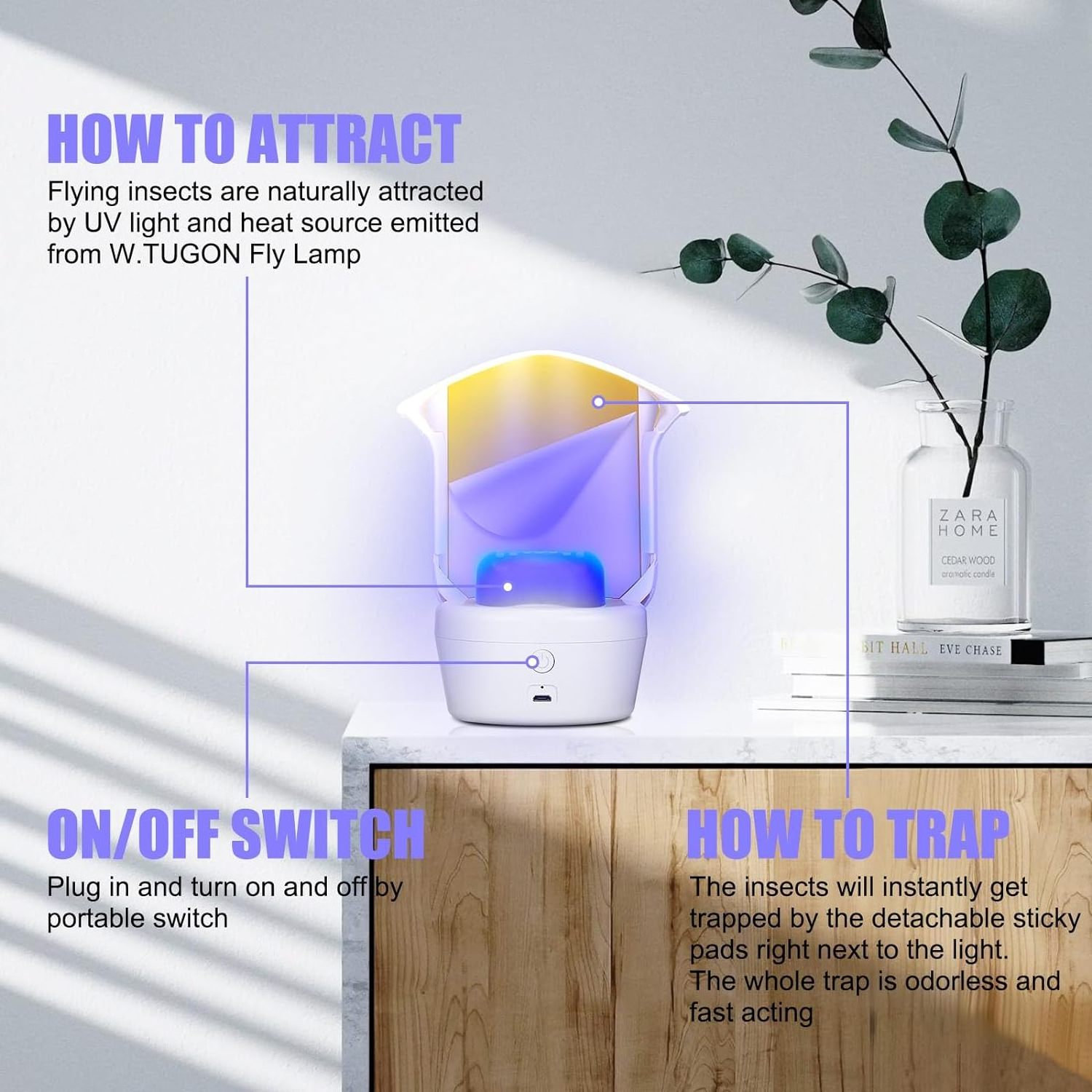 Seicosy Fly Trap Indoor, Fruit Fly Traps for Indoors 2 Packs, Plug-in gnat Traps for House Indoor, Flying Insect Trap