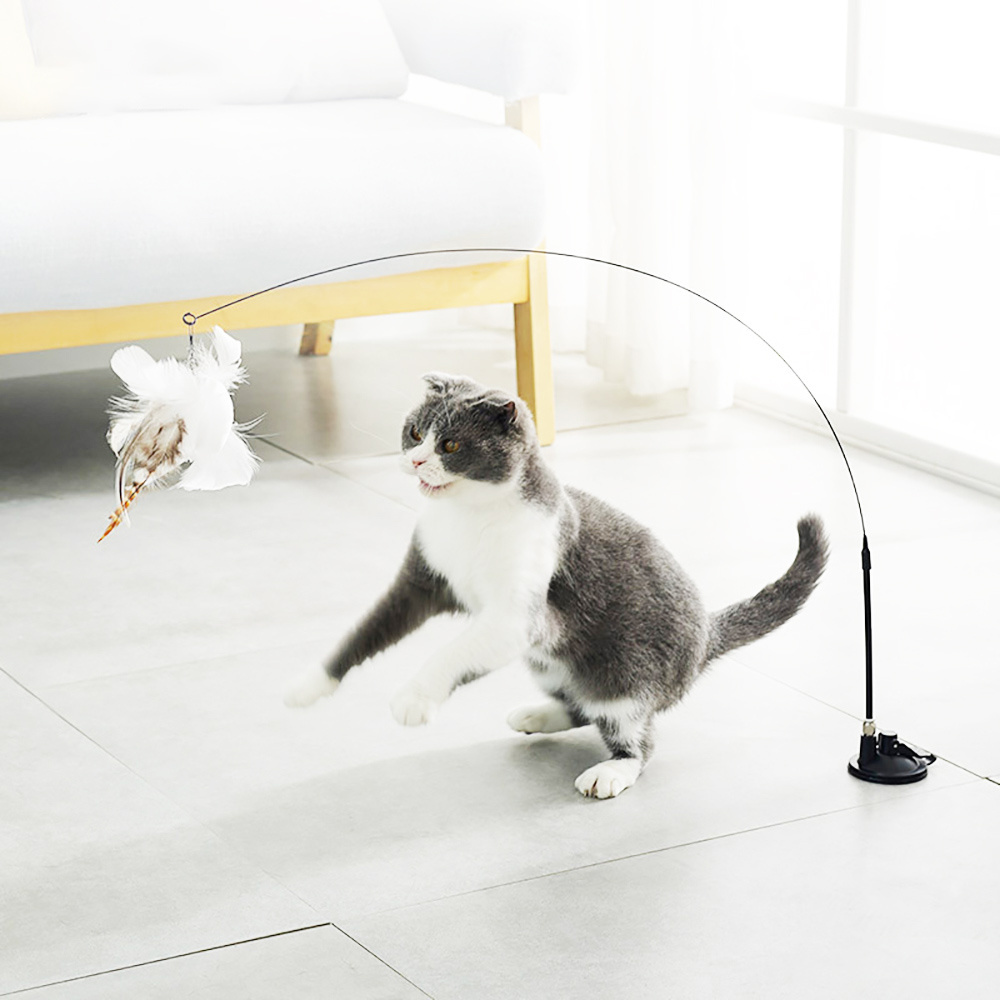 Sucker teasing cat stick bite-resistant steel wire long rod replaceable feather teasing cat stick toy kitten supplies