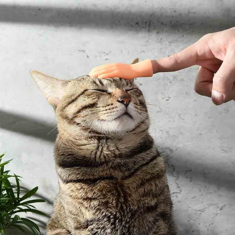 RTS Mini Finger Cots Tease Cat Toy Little Hand Pet Cat Interactive Massage Toy Finger Cots Little Hands