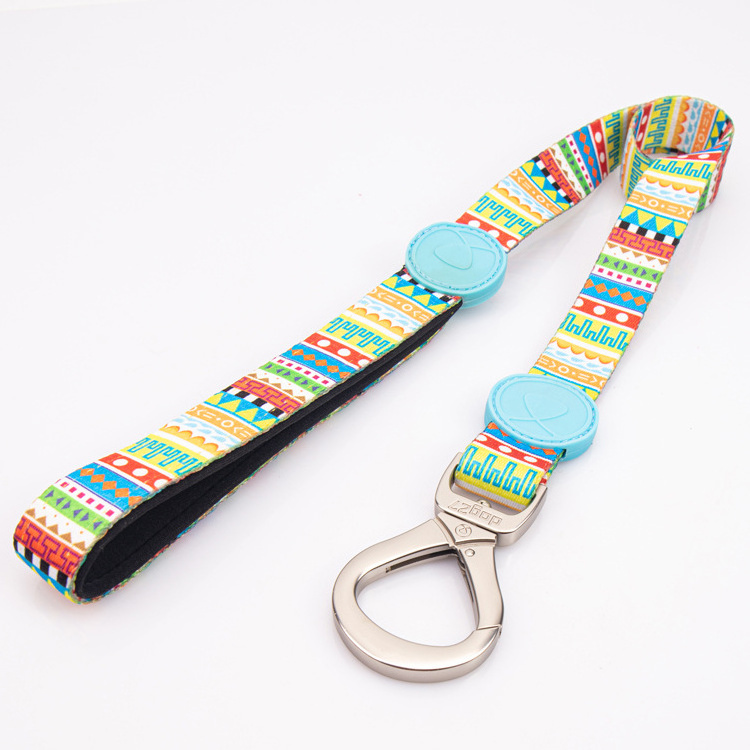 Eco-friendly comfortable custom national style pet supplies dog walking rope printing LOGO polyester heat transfer dog leash