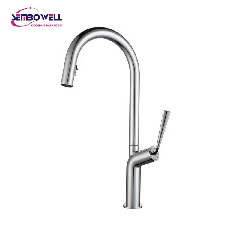 Stainless Steel Pull Down Spray Head Kitchen Sink Faucet Armaturen Pull Out Kitchen Faucet Hot and Cold Kitchen Mixer