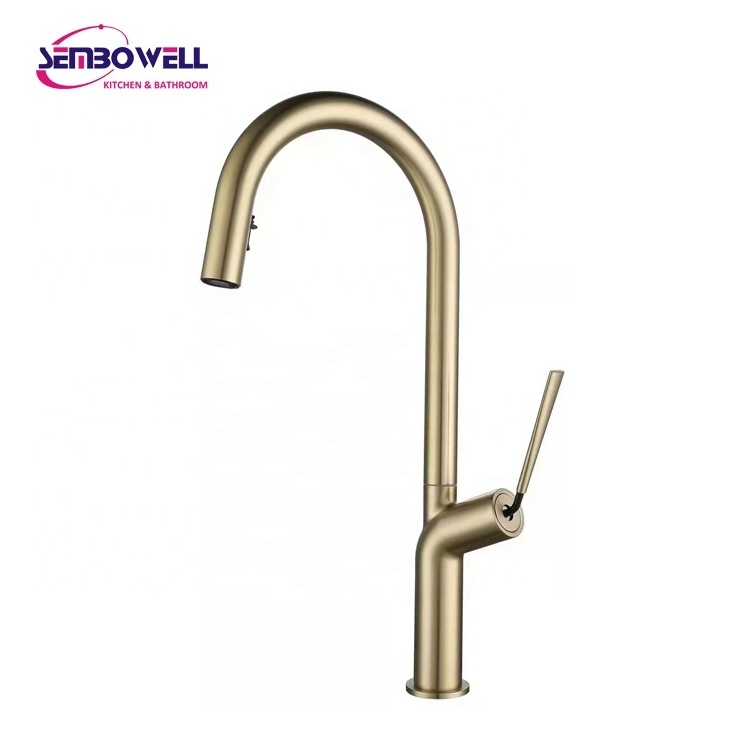 Stainless Steel Pull Down Spray Head Kitchen Sink Faucet Armaturen Pull Out Kitchen Faucet Hot and Cold Kitchen Mixer