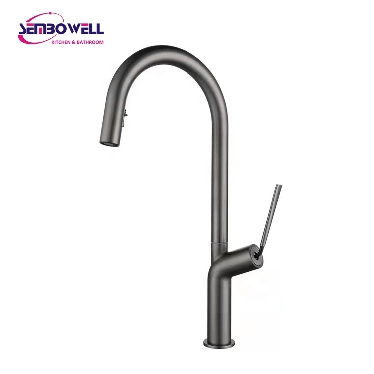 Stainless Steel Pull Down Spray Head Kitchen Sink Faucet Armaturen Pull Out Kitchen Faucet Hot and Cold Kitchen Mixer