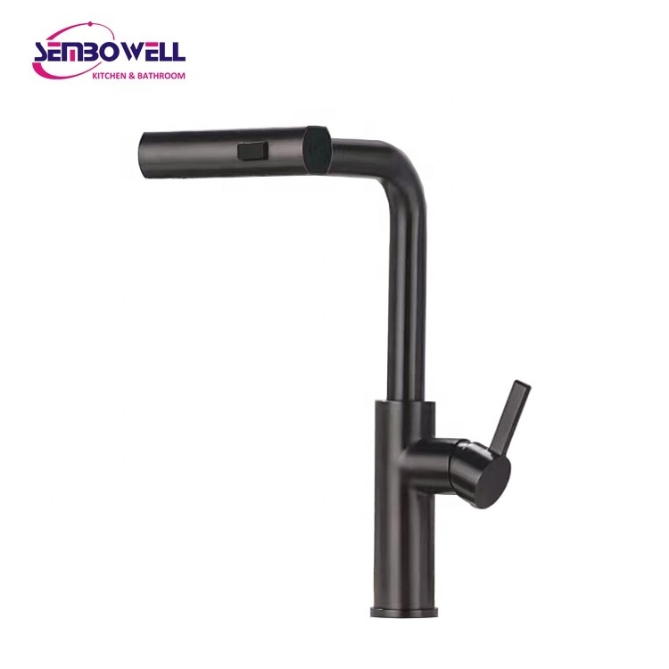 Sembowell Modern Rainfall Waterfall Kitchen Sink Mixer Tap 304 Stainless Steel Kitchen Faucet with Pull Out Spray Head