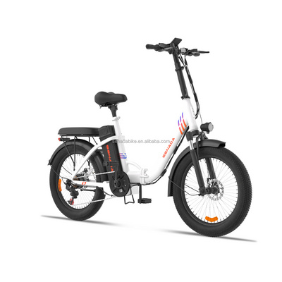 Tailg e bike online