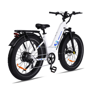 US Warehouse Electric Hybrid Bike Cheap Fat Tyre Electric Bike Fat Tire Mountain Bicycle Rickshaw Electric Bike