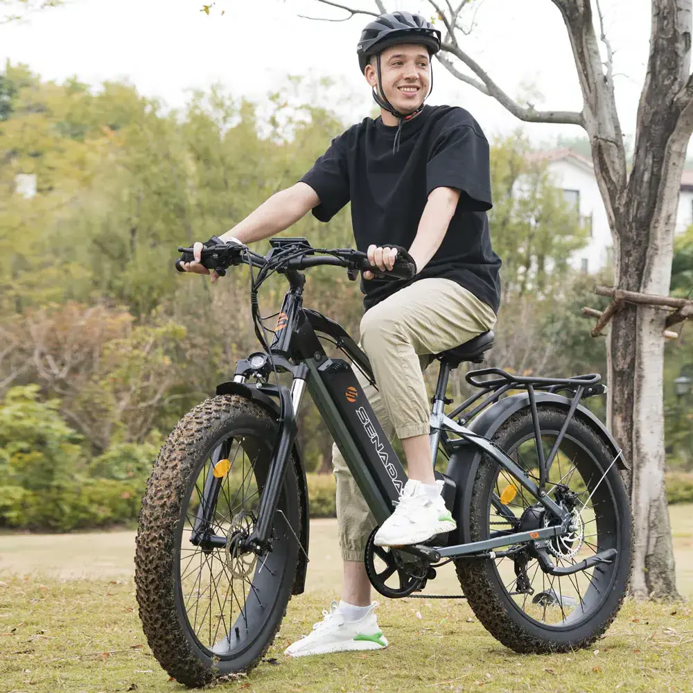 electric bicycle dropship 48V 26  inch  1000W Fat Tire Ebike for sale