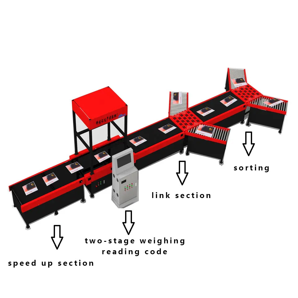 Auto Sorting Machine Warehouse Sorting System Warehouse Equipment Logistic Sorted Parcel Sorter