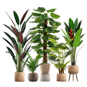 Pot Fake Flower Set Combination Bird Of Paradise Maidenhair Fern Plastic Artificial Palm Tree