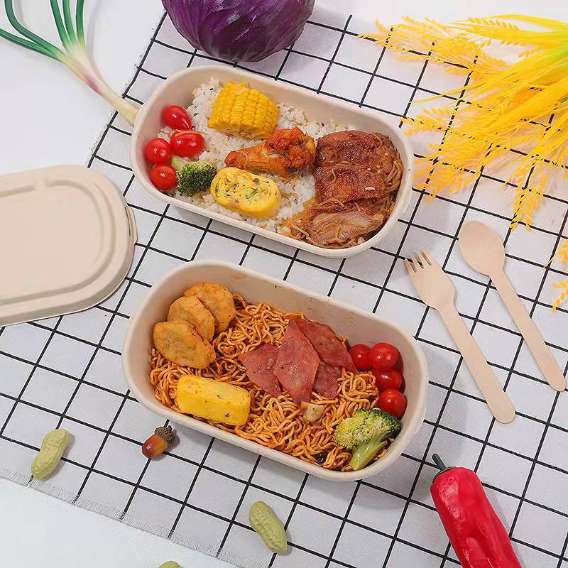 Biodegradable Sugarcane Pulp Food Containers Multi Compartment Dining Box