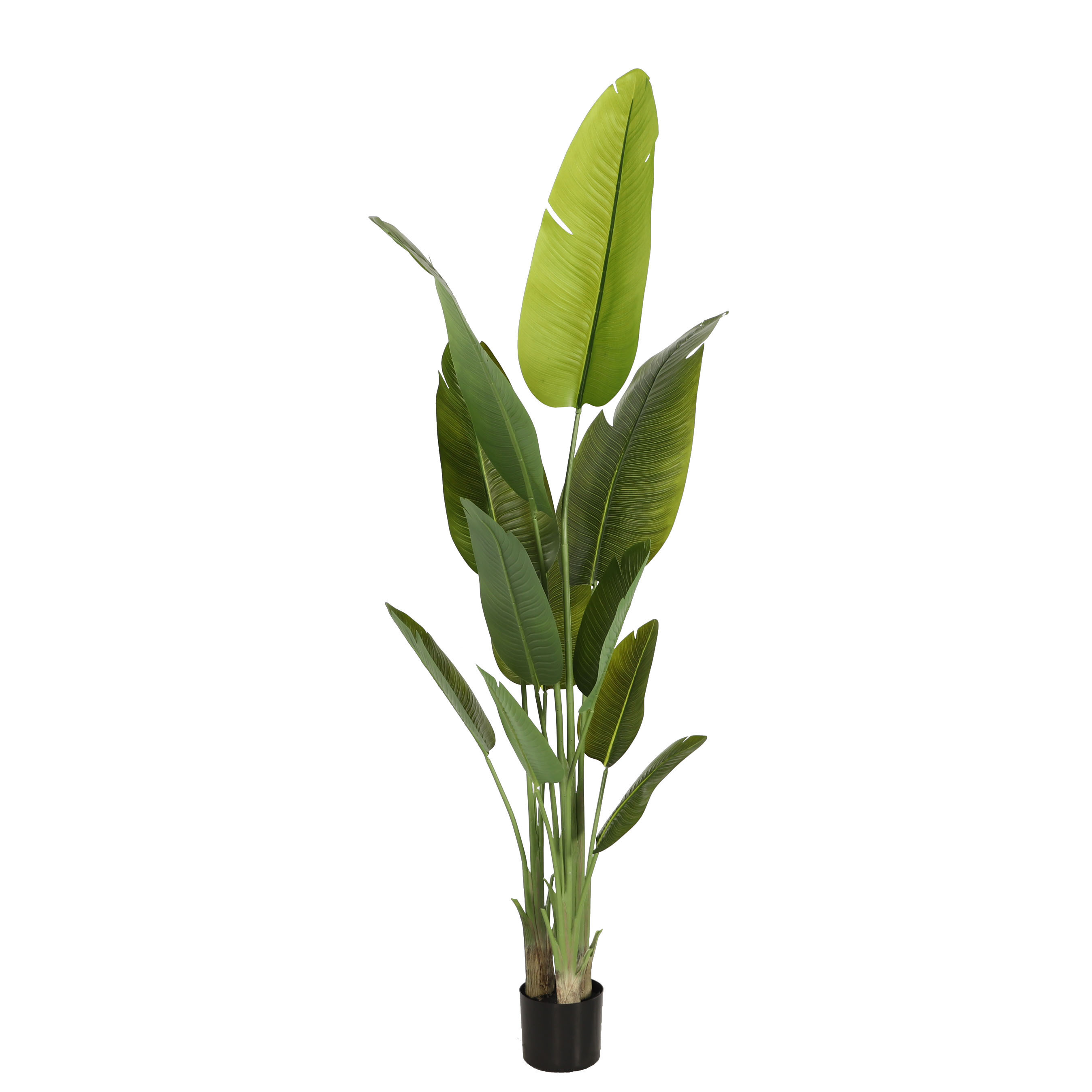 High Simulation Indoor Outdoor Decor 120cm 180cm 240cm Big Tropical Banana Artificial Plastic Bird Of Paradise Plant Tree