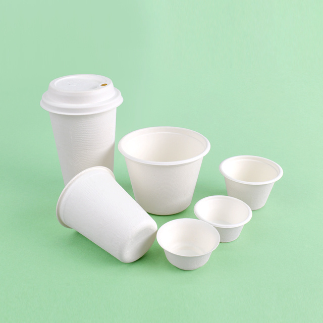 Eco-friendly 8OZ 12OZ 16OZ Paper Cup Soft Drink Soda Cup With Plastic Lid