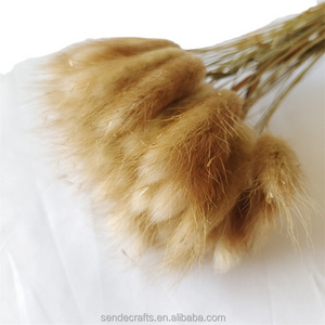 artifical flower bundle preserved pampas flower bunny tails dried flowers grass