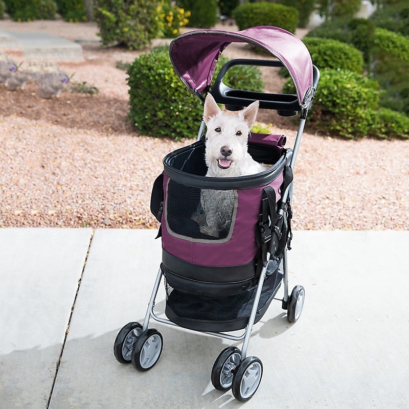 Pet Stroller for Small Medium Dogs & Cats, 4 Wheels Cat Stroller