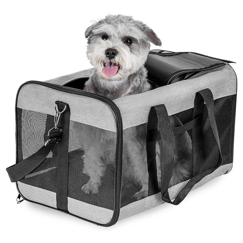 Popular Dog Handbag Pet design fashion travel bag Colorful Pet Shoulder carrier