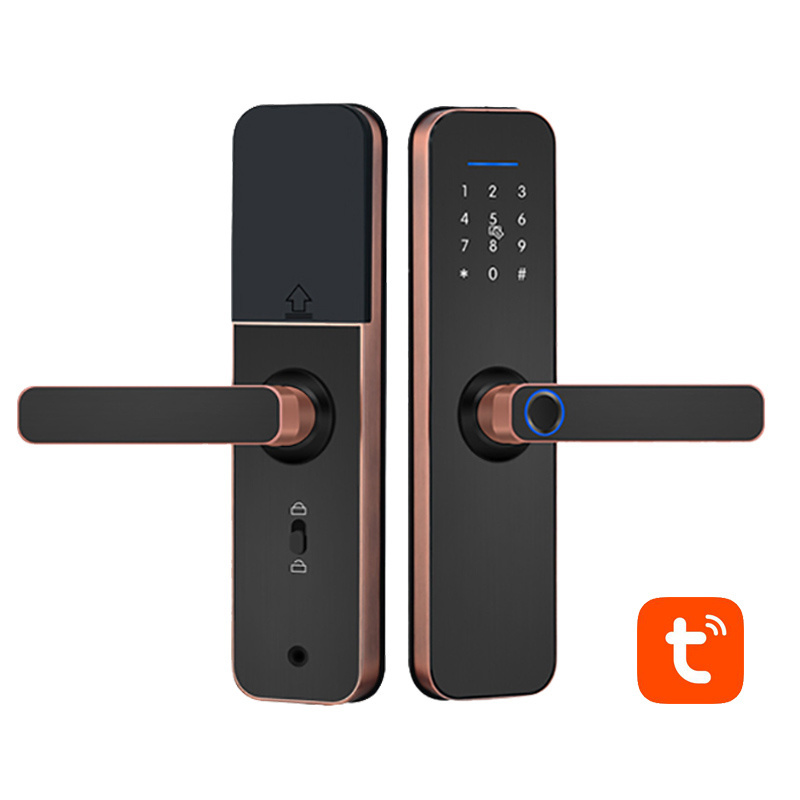 smart Tuya wifi And Ttlock ble smartphone remote control temporary Password electronic Digital door lock