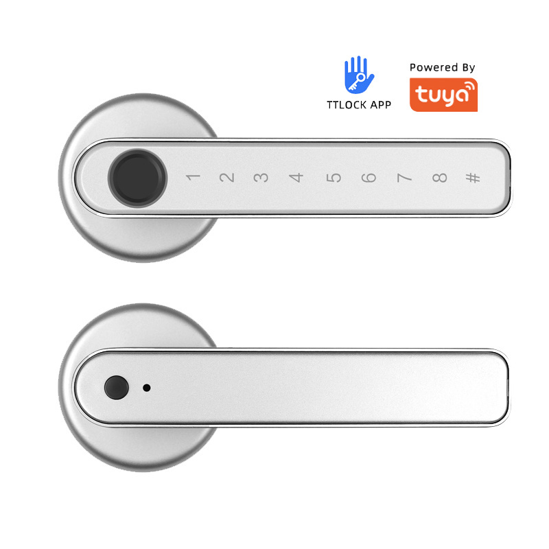 BLE TTlock App inteligente entry biometric digital Bedroom Gate handle Tuya smart password finger print code room home door lock