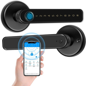 BLE TTlock App inteligente entry biometric digital Bedroom Gate handle Tuya smart password finger print code room home door lock