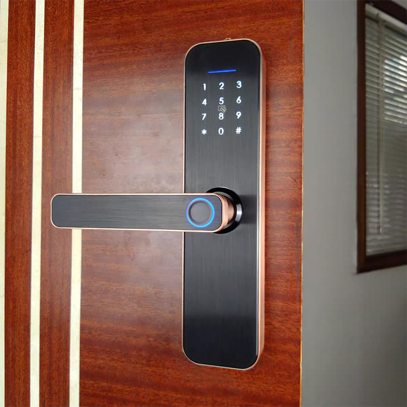 New Upgrade Hotel apartment Home Security wifi Tuya APP Electronic Smart Lock Biometric password Fingerprint code room Door Lock