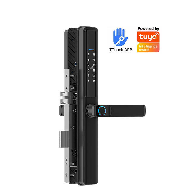 Outside Waterproof Tuya Wifi App Smart DoorLock Fingerprint TTlock Electronic swing lock Digital Sliding Glass Handle Smart Lock