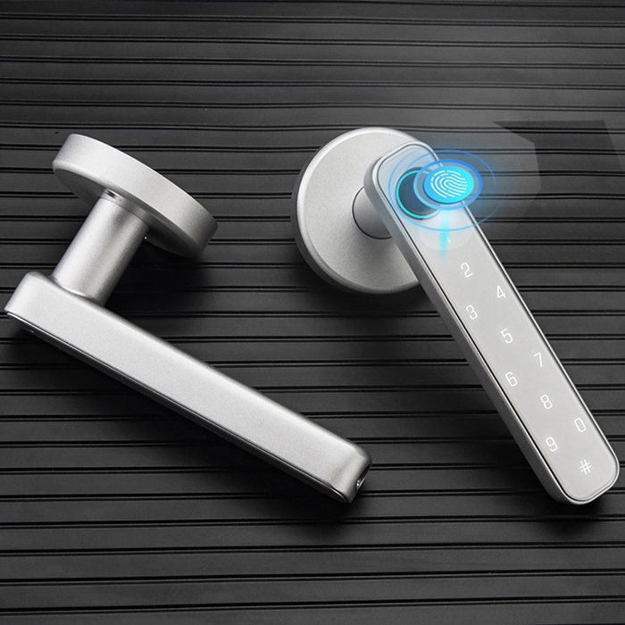 Electronic Biometric Fingerprint Hotel Gate Safety Digital Electric Finger Sliding Door Handle Smart ttlock app deadbolt Lock