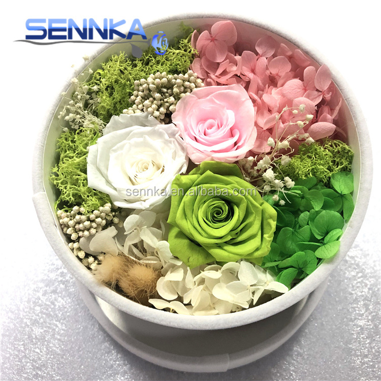 Top Quality Luxury Rosas Eternas DIY Available Eternal Rose Preserved Flower in Gift Box