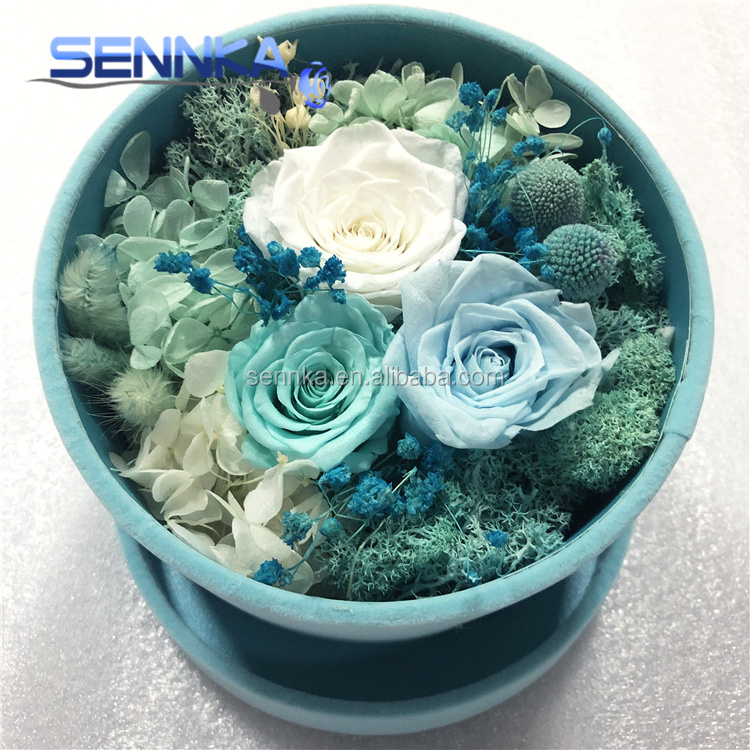 Top Quality Luxury Rosas Eternas DIY Available Eternal Rose Preserved Flower in Gift Box