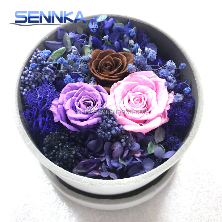 Top Quality Luxury Rosas Eternas DIY Available Eternal Rose Preserved Flower in Gift Box