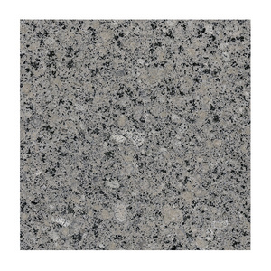 Modern Hotel Cut-To-Size Pearl Blue Granite Polished Flamed Surface Calcite marble Flooring Tile