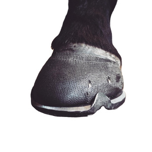 Easy to use Hoof Cast for damaged hoof walls feet comfortable Fiberglass Polyester Casting tape