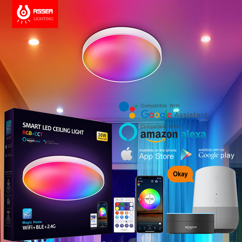 Modern flush mount APP control and link Google and Alexa led RGB smart ceiling lights for living room bedroom hotel