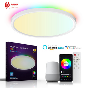 New modern ultra thin WIFI APP Support Google and Alexa smart RGB CCT color changing smart LED ceiling light