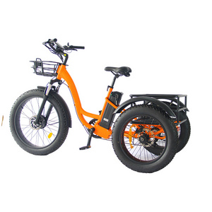 New Model safety 3 wheel fat tire delivery double battery trailer 48V 750W electric tricycle bicycle electric cargo bike