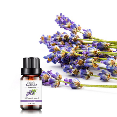 pure natural colagne perfume oil wholesale aromatherapy body  massage lavender oil essential for good sleep