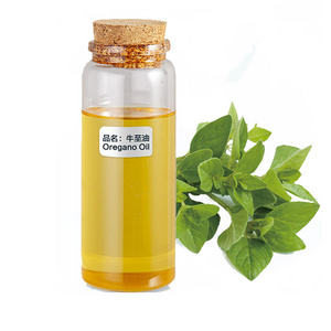 bulk wholesale  flavor fragrance food grade perfume essential oil single spice oils organic wild oregano oil for sale