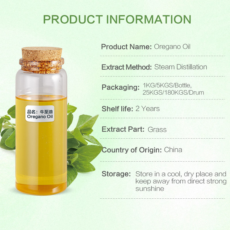 bulk wholesale  flavor fragrance food grade perfume essential oil single spice oils organic wild oregano oil for sale