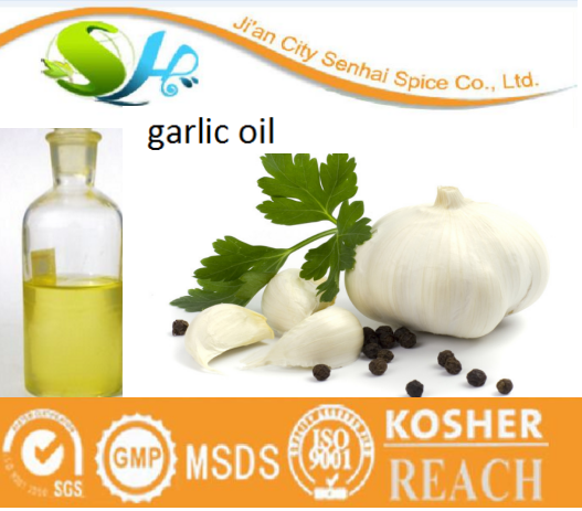 China manufacturer supply black garlic oil extraction