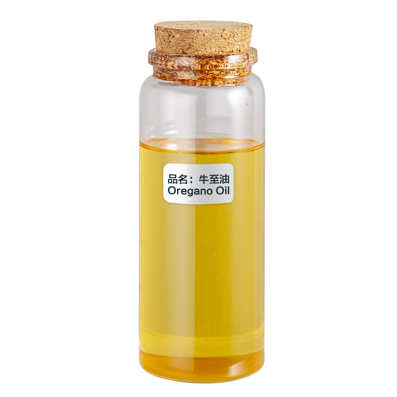 bulk wholesale  flavor fragrance food grade perfume essential oil single spice oils organic wild oregano oil for sale