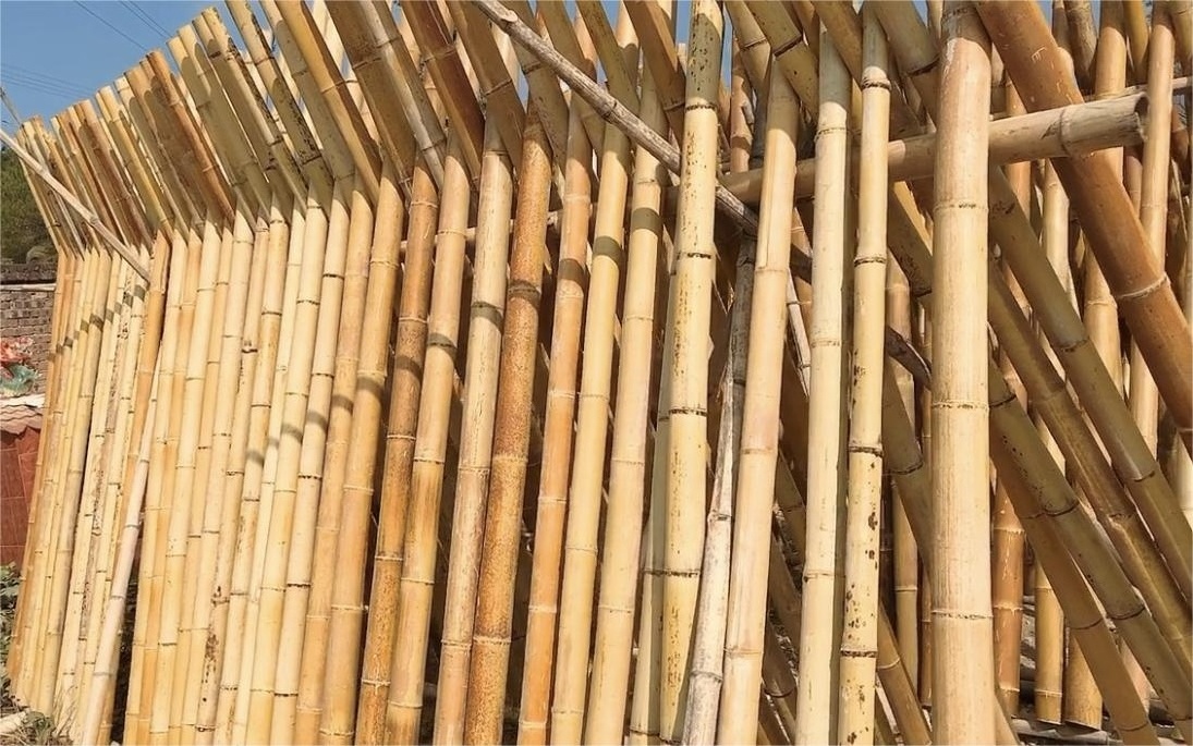 Wholesale Bamboo Building Materials Timber Raw Materials Bamboo Poles