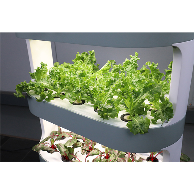 SENSH Product Indoor Hydroponic System Grow Kit Commercial For home farms