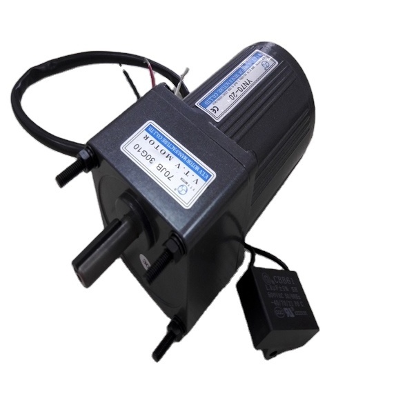 Single Phase 220v electr motor YN70-20 motor control speed 20W Speed Reduce Motor